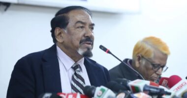 মিত্র দলগুলোকে ৫০ আসন ছাড় দেবে বিএনপি : হাফিজ উদ্দিন