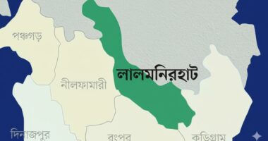 পাটগ্রাম সীমান্তে বিএসএফ কর্তৃক ২ বাংলাদেশিকে মারধর, গরু ছিনতাইয়ের অভিযোগ