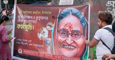 টিএসসিতে কুকুরকে কেক খাওয়াইয়ে হাসিনার জন্মদিন পালন