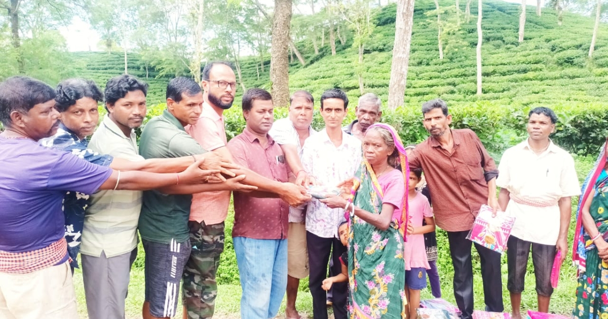 বড়লেখায় চা শ্রমিকদের মাঝে ইউপি সদস্যের শাড়ি বিতরণ