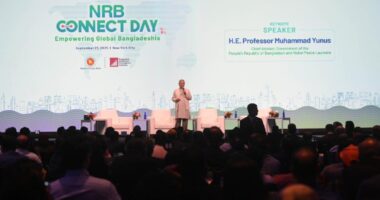 গ্যালারিতে বসে দেখার দিন শেষ, আমরা এখন নিজে খেলব : প্রধান উপদেষ্টা