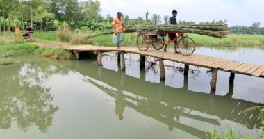 সখীপুরে ঝুঁকিপূর্ণ কাঠের সাঁকো দিয়ে পারাপার, স্থায়ী সেতু নির্মাণের দাবি এলাকাবাসীর