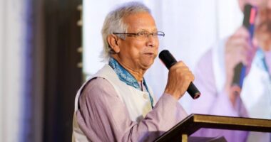 বাংলাদেশে হিন্দুবিদ্বেষী কোনো সহিংসতা নেই : ড.মুহাম্মদ ইউনূস