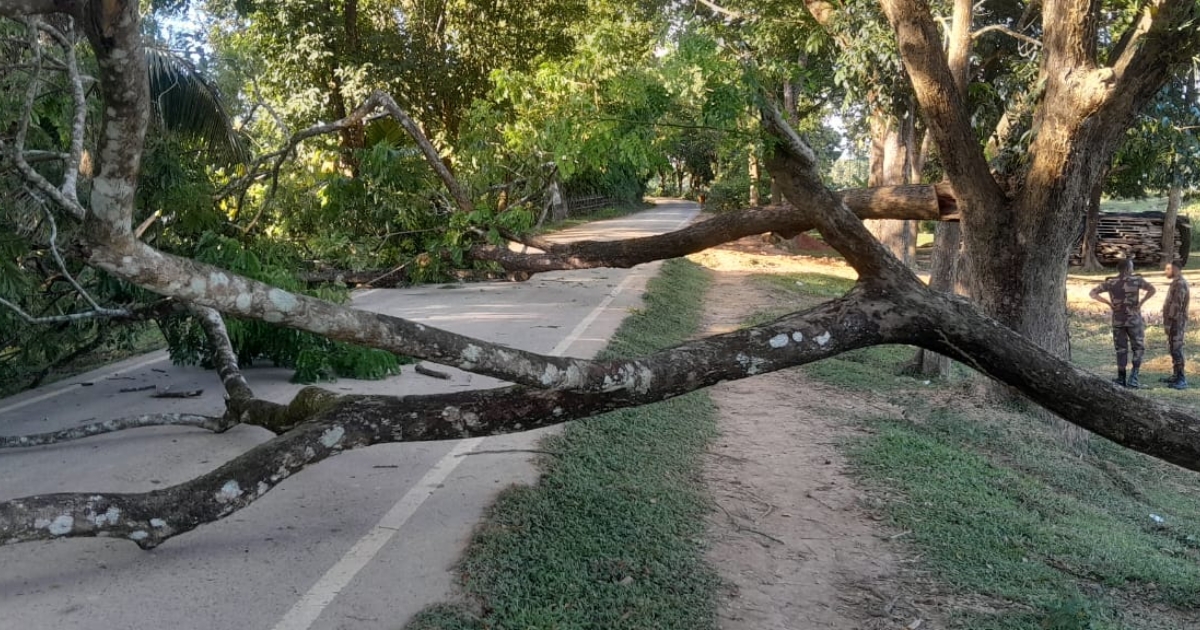 দিঘীনালা বাবুছড়া সড়কে গাছ ফেলে অবরোধ, জনদুর্ভোগ চরমে