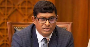 এখন জাতীয় পার্টিকে রক্ষার দায়িত্ব বিএনপির : শামীম পাটোয়ারী