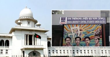 ডাকসু নির্বাচন নিয়ে আপিল বিভাগে শুনানি আজ