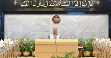 মন্ত্রণালয়গুলোর অভ্যন্তরীণ সংস্কারের তথ্য জনগণকে জানানোর নির্দেশ প্রধান উপদেষ্টার