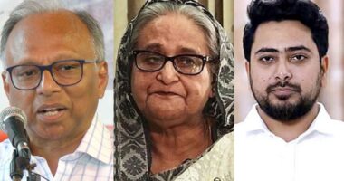 শেখ হাসিনার মামলায় মাহমুদুর রহমান ও নাহিদ ইসলামের সাক্ষ্য আজ