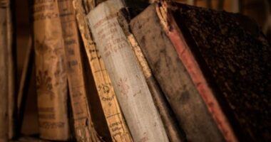 আফগানিস্তানের বিশ্ববিদ্যালয়ে নারীদের লেখা বই নিষিদ্ধ করলো তালেবান