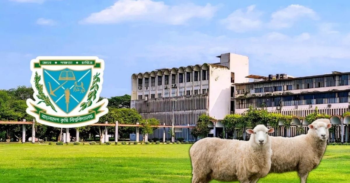 বাংলাদেশ কৃষি বিশ্ববিদ্যালয়ে গবেষণার জন্য আনা ১৪ ভেড়া চুরি