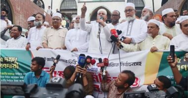 জামায়াতে ইসলামী সরকারি দল হবে, বিএনপিকে বিরোধী দলে যেতে হবে