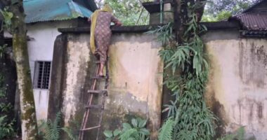 নিজ বাড়ির সীমানা যেন সীমান্তের কাঁটাতার, মই বেয়ে মা-ছেলের পারাপার