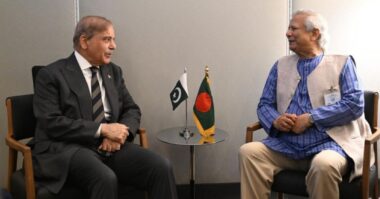 পাকিস্তানের প্রধানমন্ত্রীর সঙ্গে প্রধান উপদেষ্টার বৈঠক