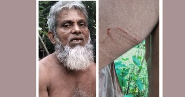 মুন্সিগঞ্জে জমি-সংক্রান্ত বিরোধে ৮০ বছরের বৃদ্ধকে পিটিয়ে জখম