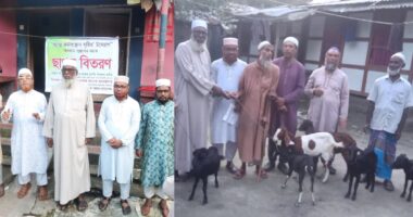 দৌলতখানে অসহায় পরিবারের মাঝে ছাগল বিতরণ করল জামায়াতে ইসলামী