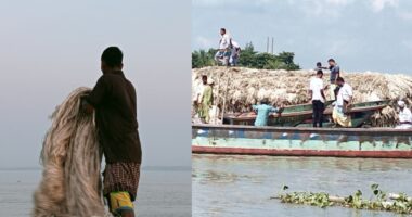 মুন্সিগঞ্জে সোনালী আশের জোয়ার : জমজমাট পাটের হাটে কৃষকের মুখে হাসি