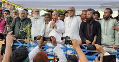 বিএনপির প্রতিষ্ঠাবার্ষিকী উপলক্ষে সেনবাগে কাজী মফিজের নেতৃত্বে সমাবেশ