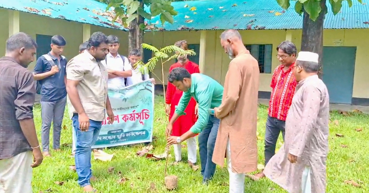 জুলাই শহীদদের স্মরণে শহীদ সন্তোষ স্মৃতি ফাউন্ডেশনের বৃক্ষরোপণ কর্মসূচি