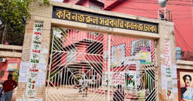 কবি নজরুল কলেজে মশার উপদ্রব, দক্ষিন সিটি কর্পোরেশনের গাফিলতি