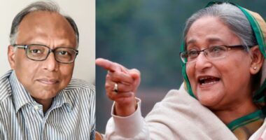 ‘শেখ হাসিনা বিরোধীপক্ষকে হিটলারের মতো দমন করতেন’: মাহমুদুর রহমান