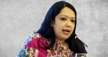 জামায়াত যদি কাউকে শত্রু ভাবে তাকে নিশ্চিহ্ন করতে আক্রমণ করে: রুমিন ফারহানা