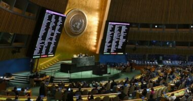 ফিলিস্তিনকে আনুষ্ঠানিকভাবে স্বীকৃতি দিতে প্রস্তুত চারটি দেশ