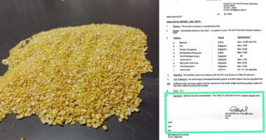 ভারতীয় কেমিক্যাল যুক্ত মথ ডাল বাংলাদেশে বিক্রি হচ্ছে মুগ ডাল হিসেবে