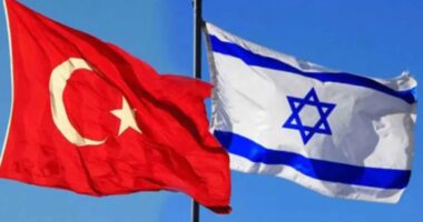 ইসরাইলকে কুকুরের সঙ্গে তুলনা করেছেন তুরস্কের উপদেষ্টা