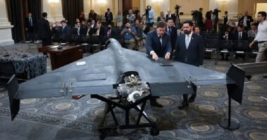 বিশ্বের সব দেশ ইরানি 'শাহেদ' ড্রোন কপি করার চেষ্টা করছে: মার্কিন পত্রিকা