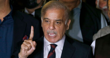 ‘আমরা সীমান্ত সন্ত্রাসকে পরাজিত করছি’ ভারতীয় সাংবাদিককে মোক্ষম জবাব পাকিস্তান প্রধানমন্ত্রীর