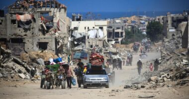 আমরা বিশ্ববাসীর কাছে আবেদন জানানো ছেড়ে দিয়েছি : গাজাবাসী