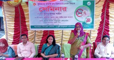 নাটোরের বড়াইগ্রামে কৃষকদের তামাক চাষ নিরুৎসাহিতকরণ বিষয়ক সেমিনার অনুষ্ঠিত