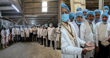 তত্ত্ব থেকে বাস্তব : কেবিসি এগ্রো প্রডাক্টসে শিক্ষা সফরে গবি শিক্ষার্থীরা 