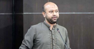 ফুলের মতো পবিত্র মানুষগুলোই আপনাদের ভাগ্য নিয়ে ছিনিমিনি খেলেছে : ব্যারিস্টার ফুয়াদ