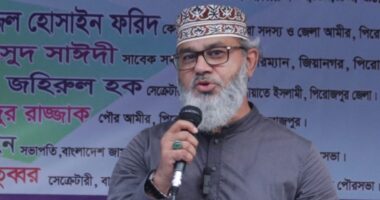 দেশ গড়তে শুধু নেতা নয়, নীতিরও পরিবর্তন করতে হবে : মাসুদ সাঈদী