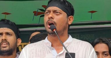 এনসিপিতেই আছেন নাসীরুদ্দীন পাটওয়ারী, পদত্যাগের খবর গুজব