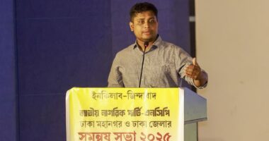 এনসিপিতে অনেকে গুপ্তচর হিসেবে ‘স্যাবোটাজ’ করতে এসেছে : হাসনাত