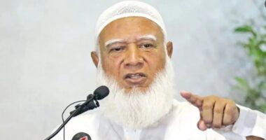 সংসদে শতাংশ হিসাব করে প্রবাসী প্রতিনিধি নিশ্চিত করব : জামায়াত আমির