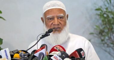 ২৮ অক্টোবরের ঘটনা ছিল পূর্বপরিকল্পিত গণহত্যা : জামায়াত আমির