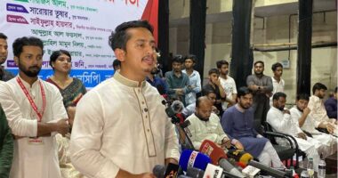 জাতীয় পার্টির মতো পোষা রাজনৈতিক দল হইতে আসে নাই এনসিপি : সারজিস আলম