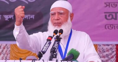 সংসদে শতাংশ হিসাব করে প্রবাসী প্রতিনিধি নিশ্চিত করব : জামায়াত আমির