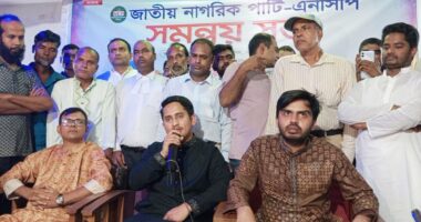 কারো সঙ্গে নির্বাচনি সমঝোতার সিদ্ধান্ত নেয়নি এনসিপি : সারজিস আলম