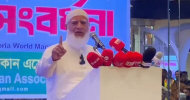 ক্ষমতায় গেলে চাকরিতে মায়েদের কর্মঘণ্টা কমিয়ে পাঁচ ঘণ্টা করব : জামায়াত আমির