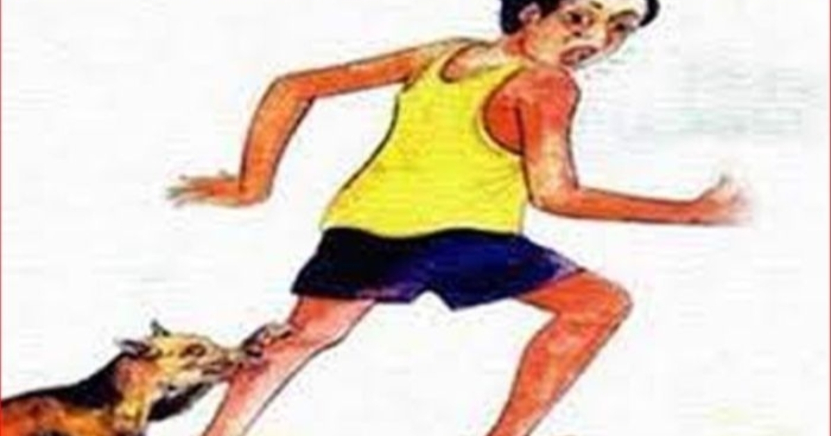 চার দিনে শিয়ালের কামড়ে নারী-পুরুষ ও শিশুসহ ২১ জন আহত