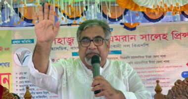 বেকারত্বকে জাদুঘরে পাঠাবে বিএনপি : সালেহ প্রিন্স