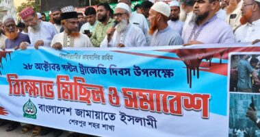 পল্টন ট্রাজেডি দিবস উপলক্ষে জামায়াতের বিক্ষোভ মিছিল ও সমাবেশ অনুষ্ঠিত