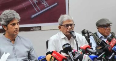 নির্বাচন যত বিলম্বিত হবে, দেশে বিভক্তি ততই বাড়বে : মির্জা ফখরুল