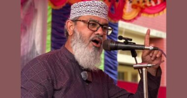 জুলাই সনদ বাস্তবায়নে কোনো টালবাহানা চলবে না : মাসুদ সাঈদী