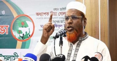 ক্ষমতায় গেলে লুটপাটহীন মানবিক সমাজ গড়ে তুলবে জামায়াত : গোলাম পরওয়ার