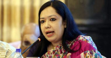 এটা জাতির সঙ্গে প্রতারণা, আমরা এই প্রতারণাকে ‘না’ বলছি' : রুমিন ফারহানা